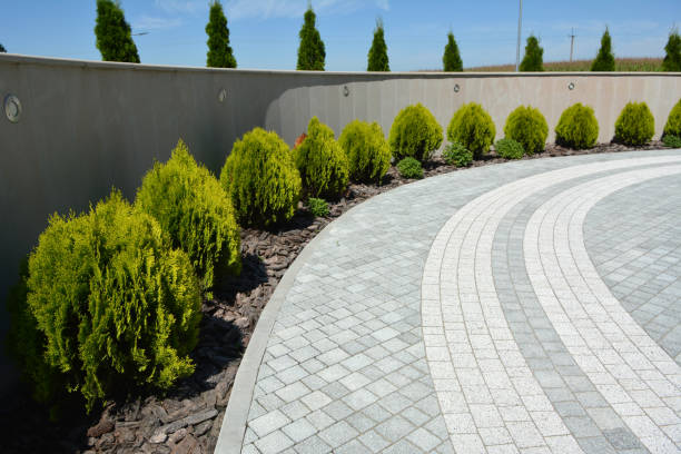 Best Professional Driveway Pavers  in Cool Valley, MO